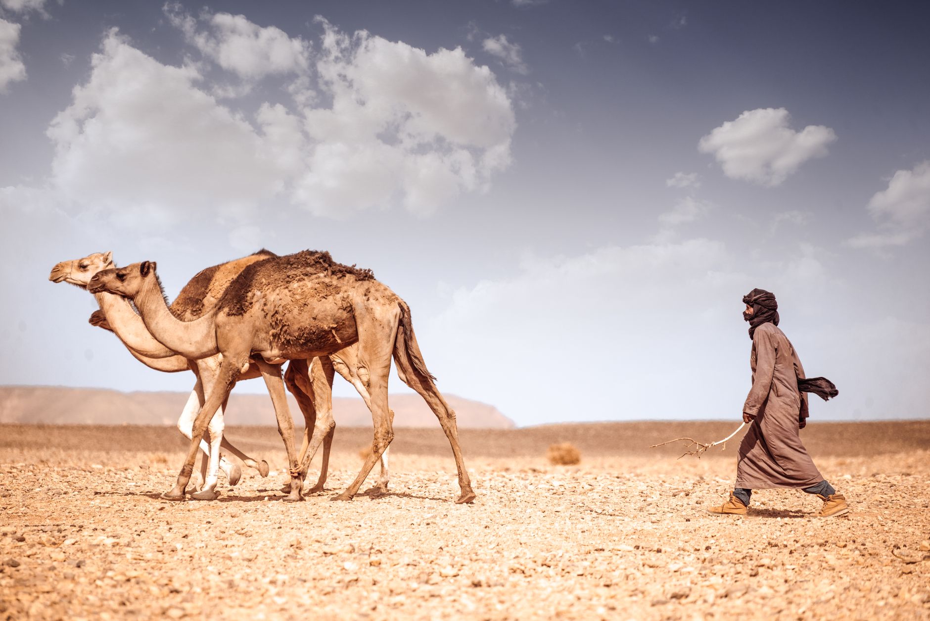 Adrar