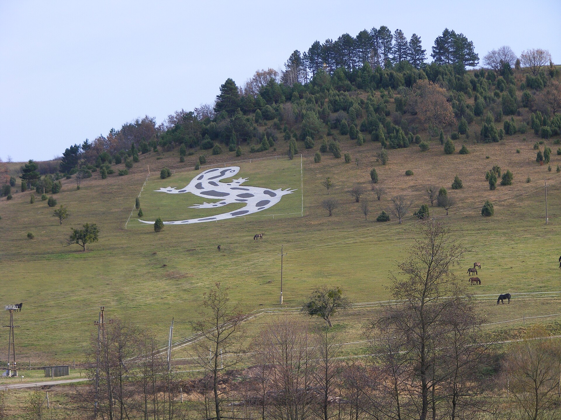 Aggtelek National Park