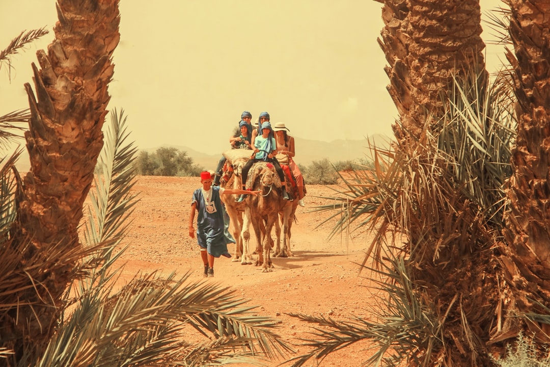 Al-Ahsa Oasis