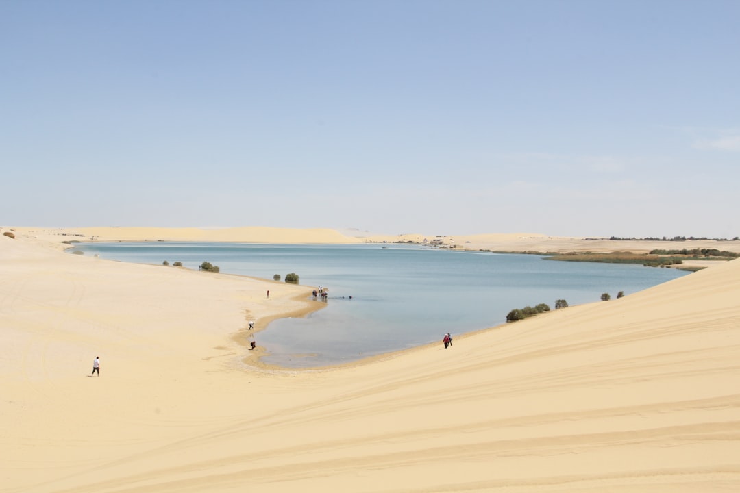 Al-Ahsa Oasis