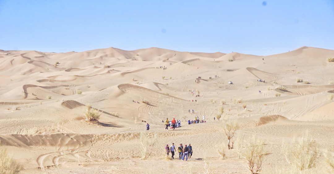 Al-Ahsa Oasis
