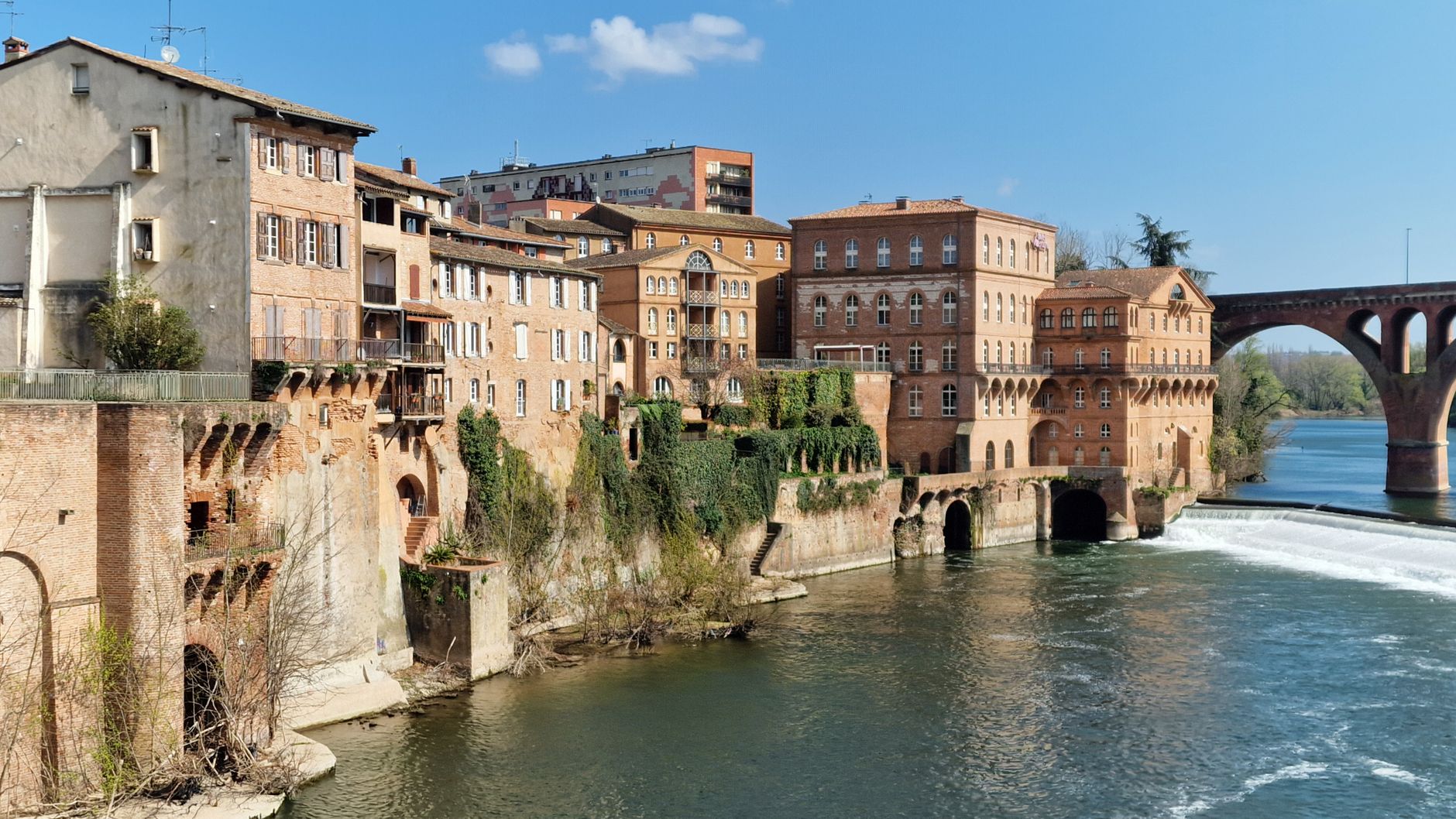 Albi