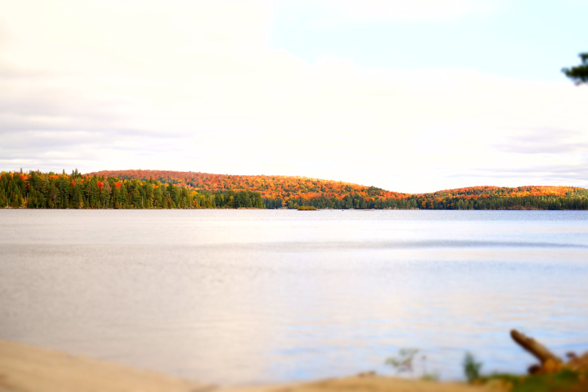 Algonquin Provincial Park