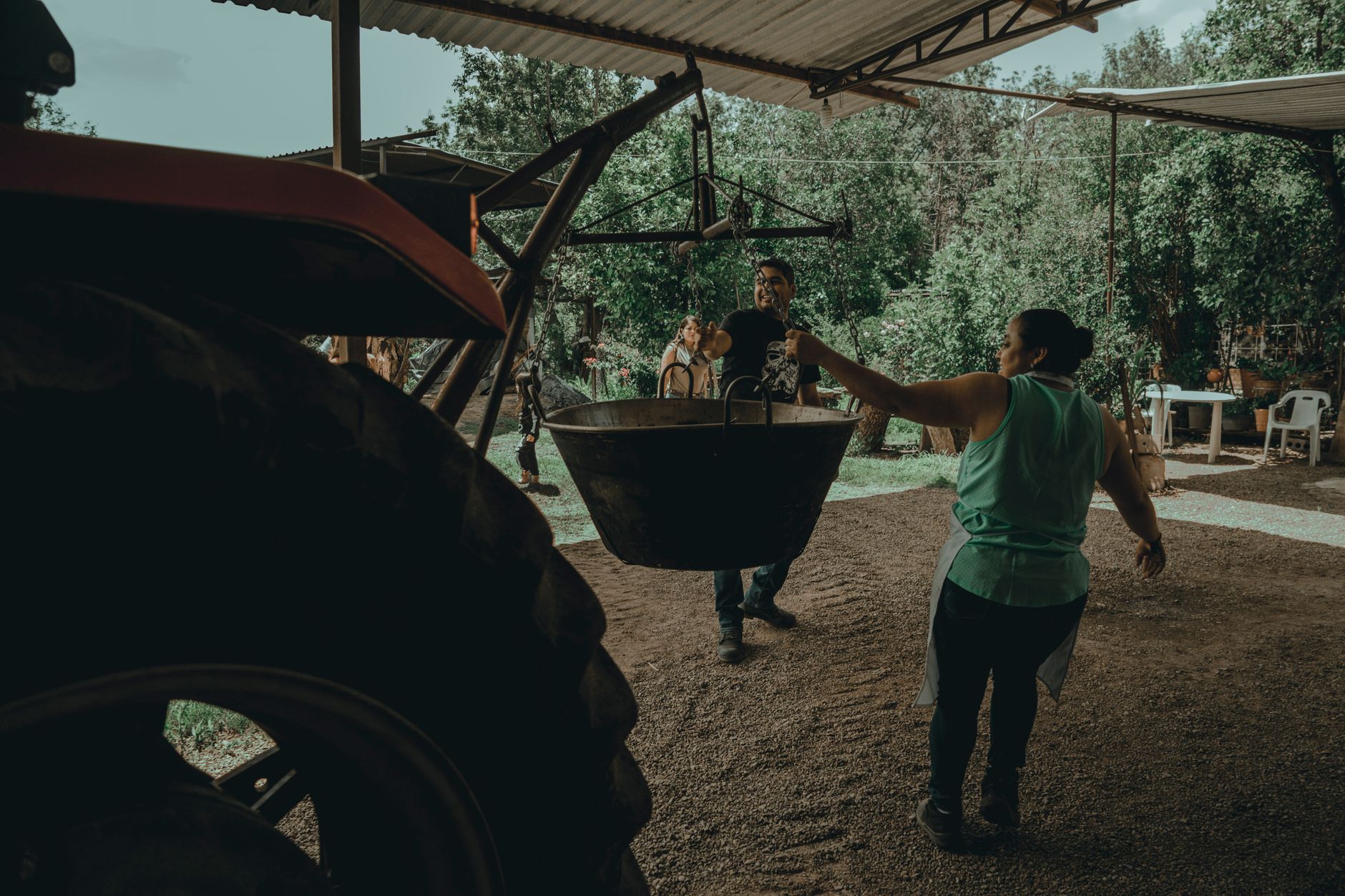 Almond Grove