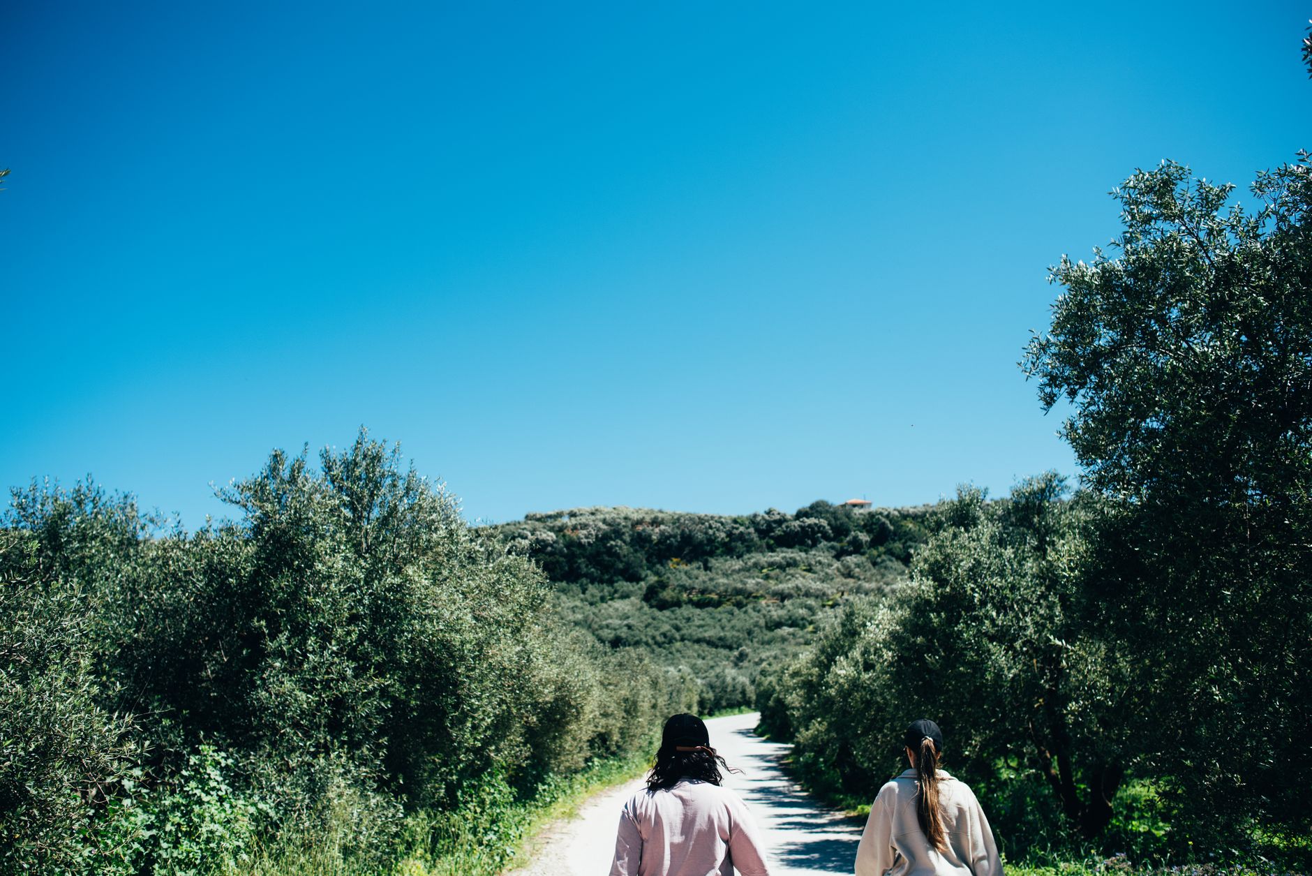 Almond Grove