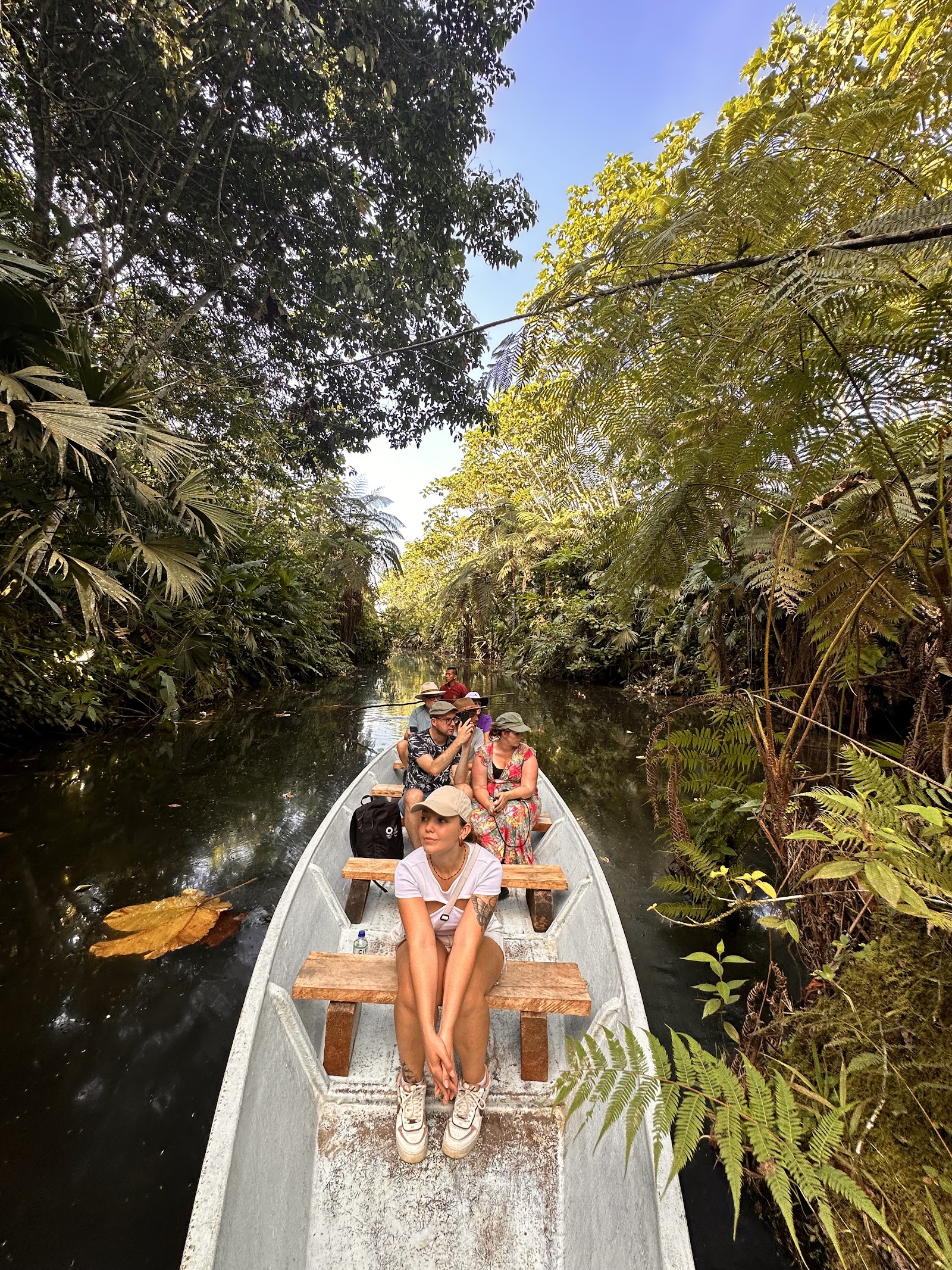 Amazon Jungle Lodge (Tena area)