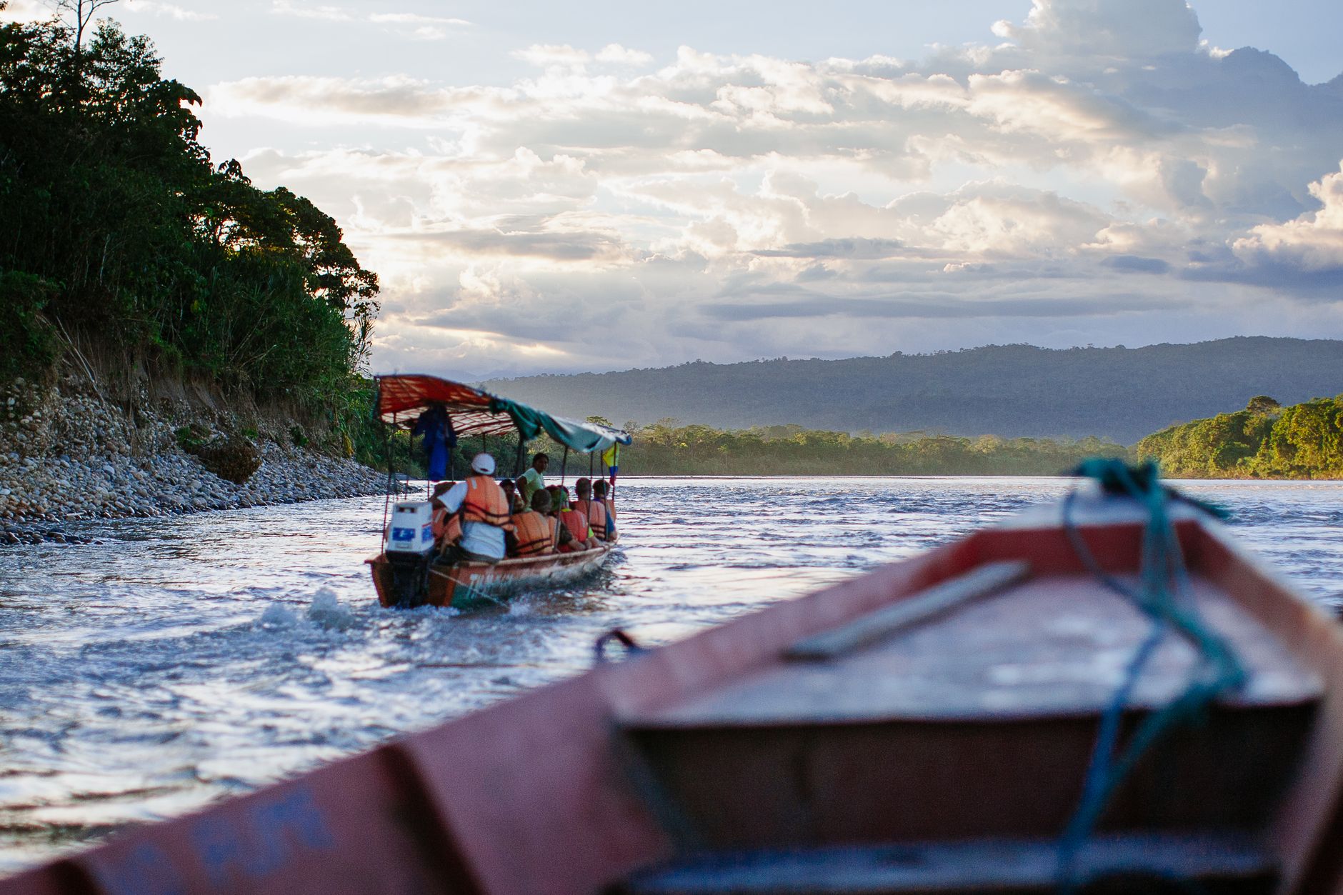 Amazon Rainforest