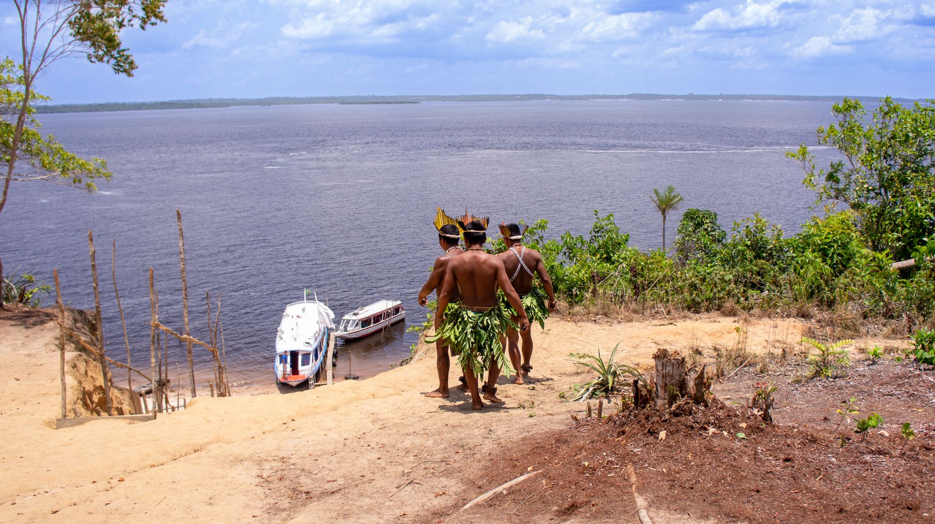 Amazon Rainforest