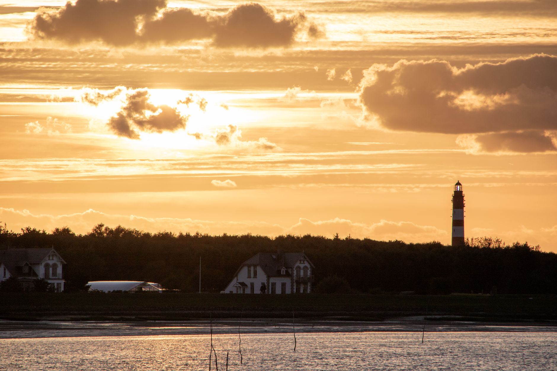 Amrum