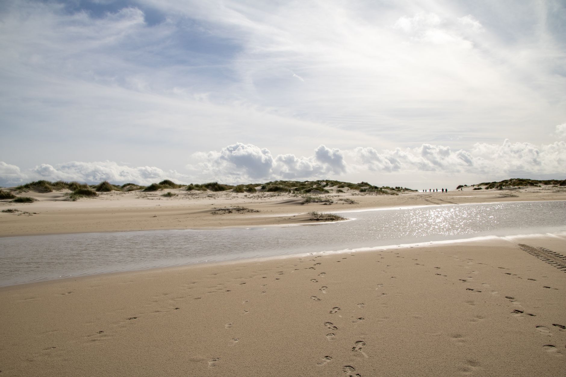 Amrum