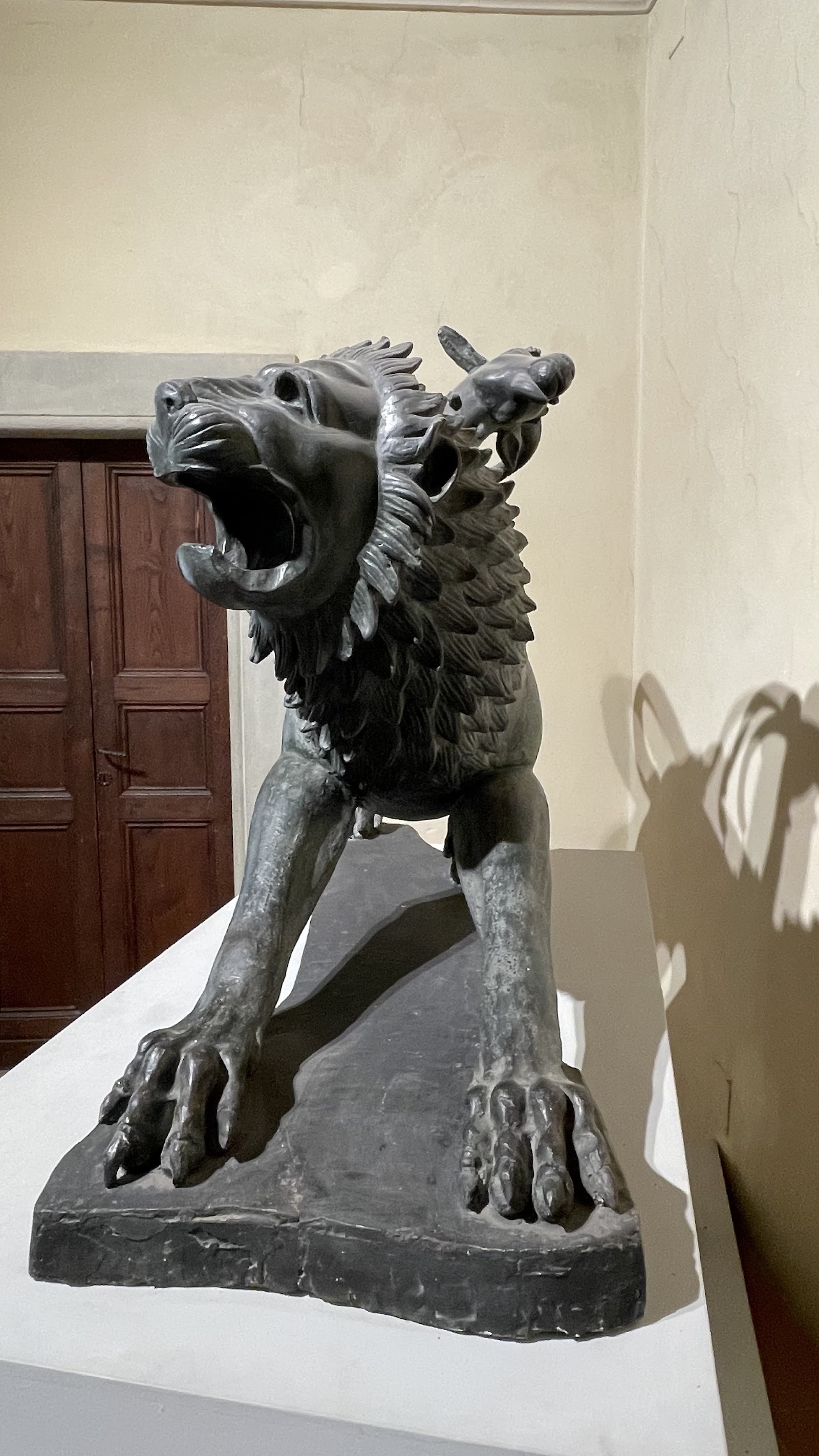 Anfiteatro Romano di Arezzo