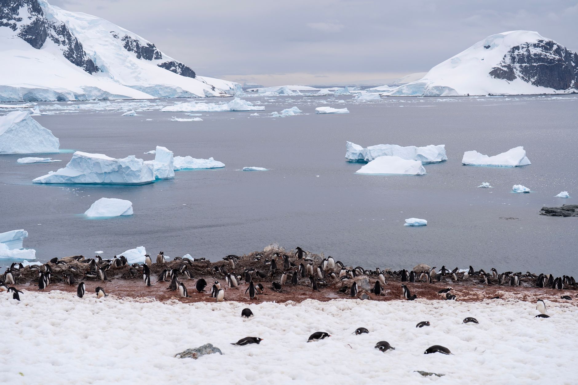 Antarctic Peninsula