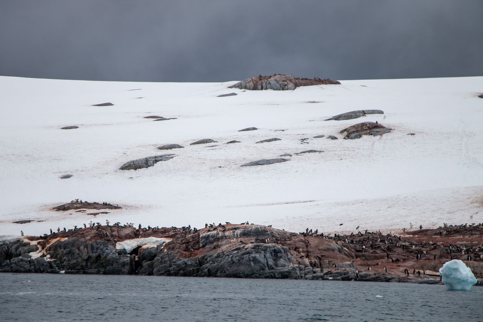 Antarctic Peninsula