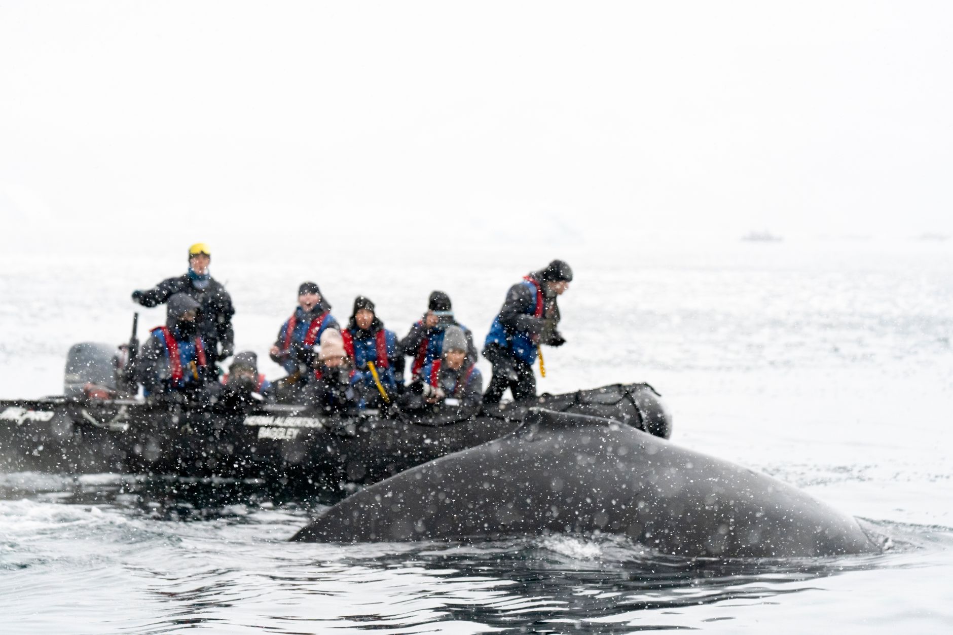 Antarctica
