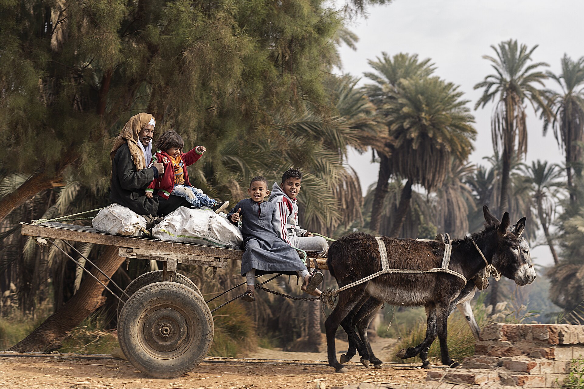 Aswan