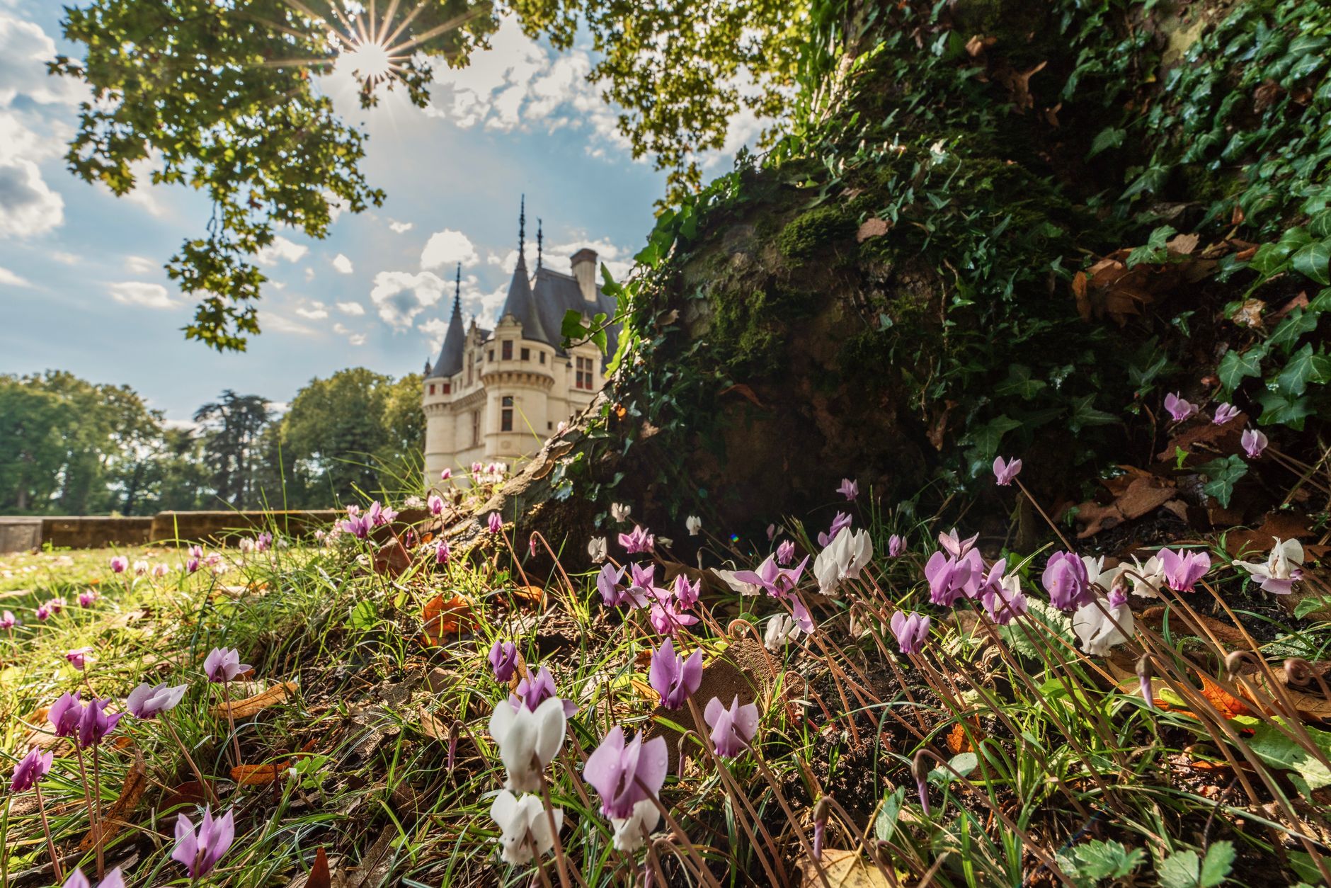 Azay-le-Rideau