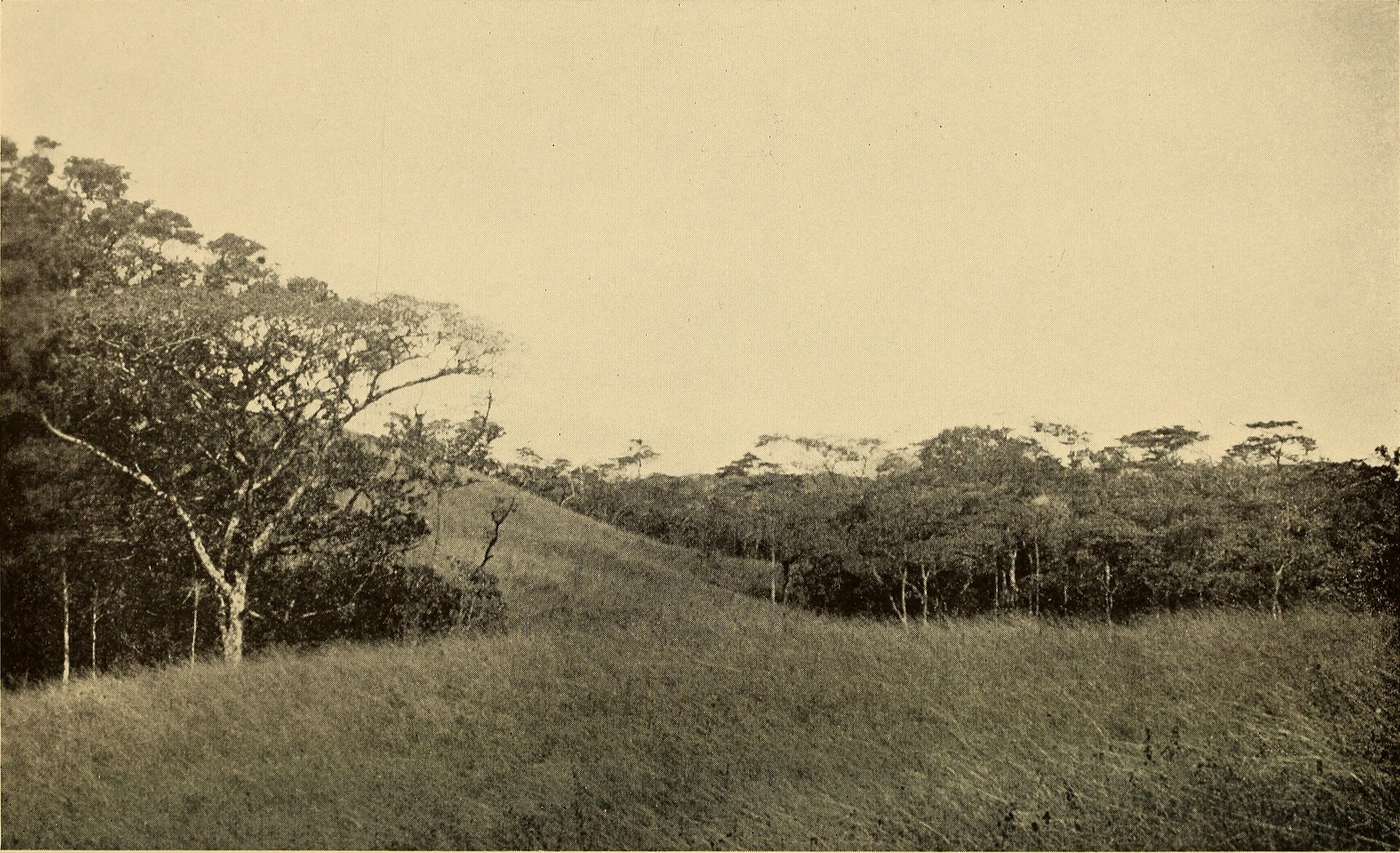 Azuero Peninsula