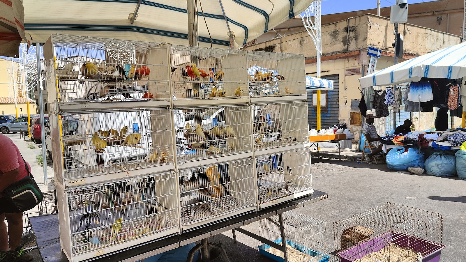 Ballarò Market