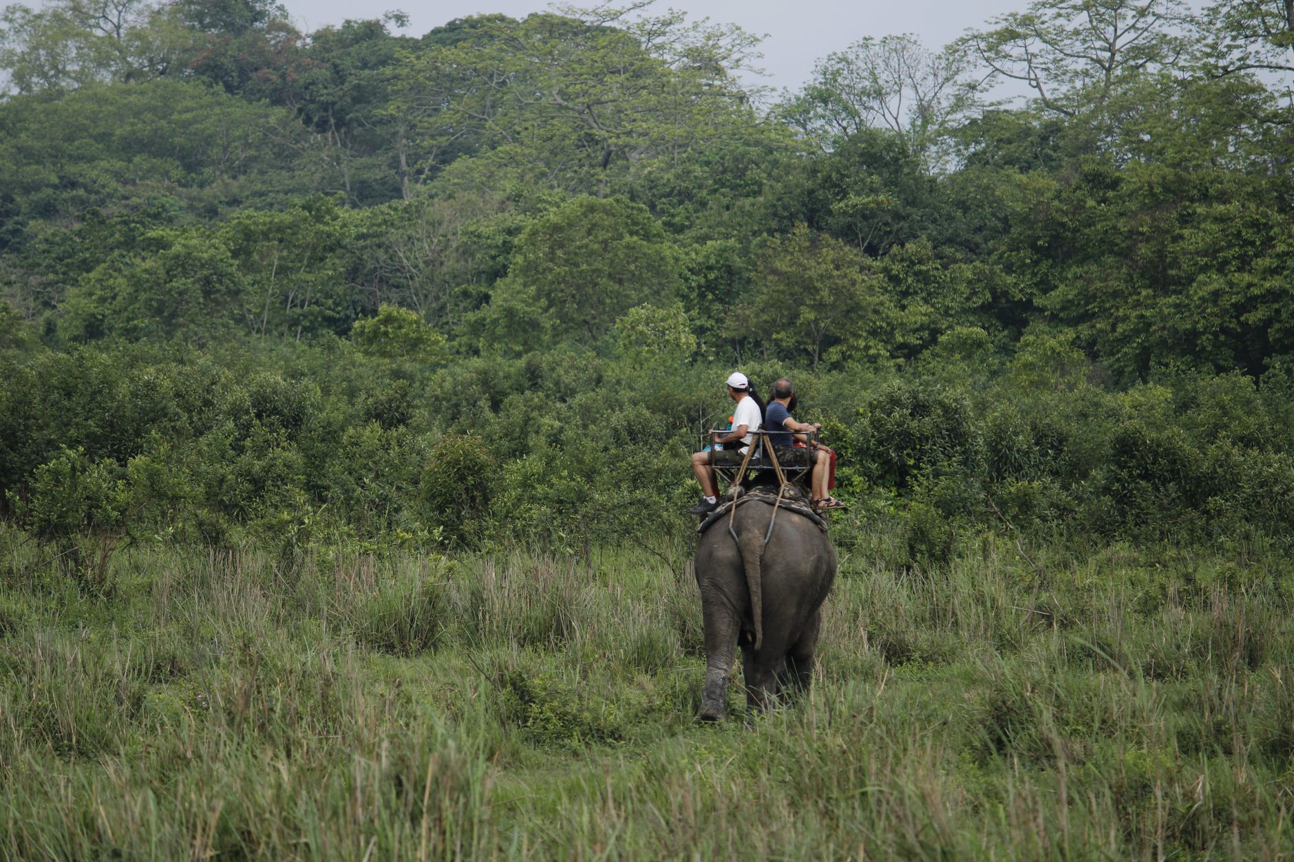 Bardia National Park