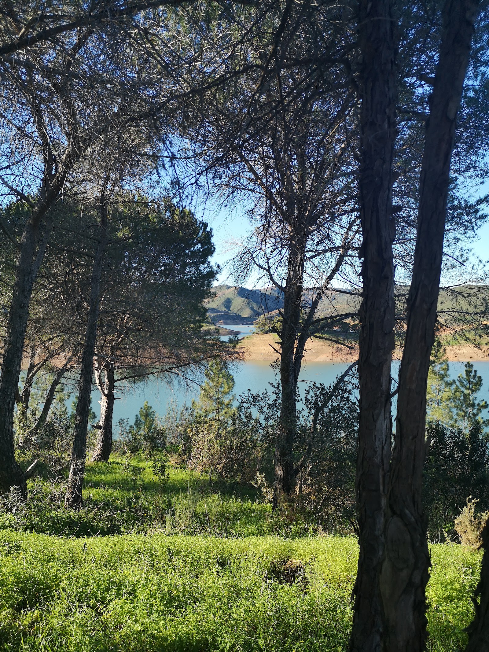 Barragem de Arade (Arade Reservoir)