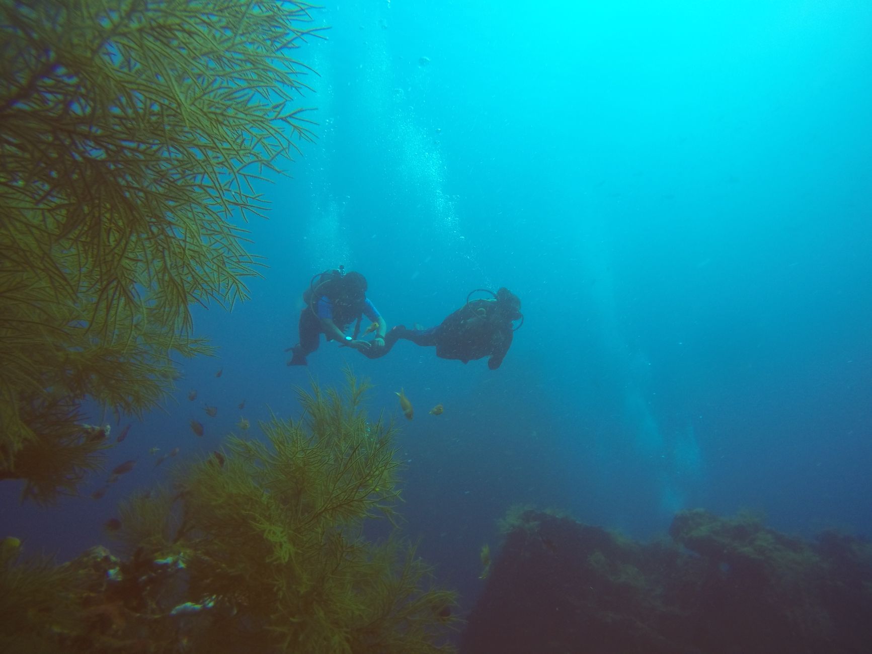 Belize Barrier Reef