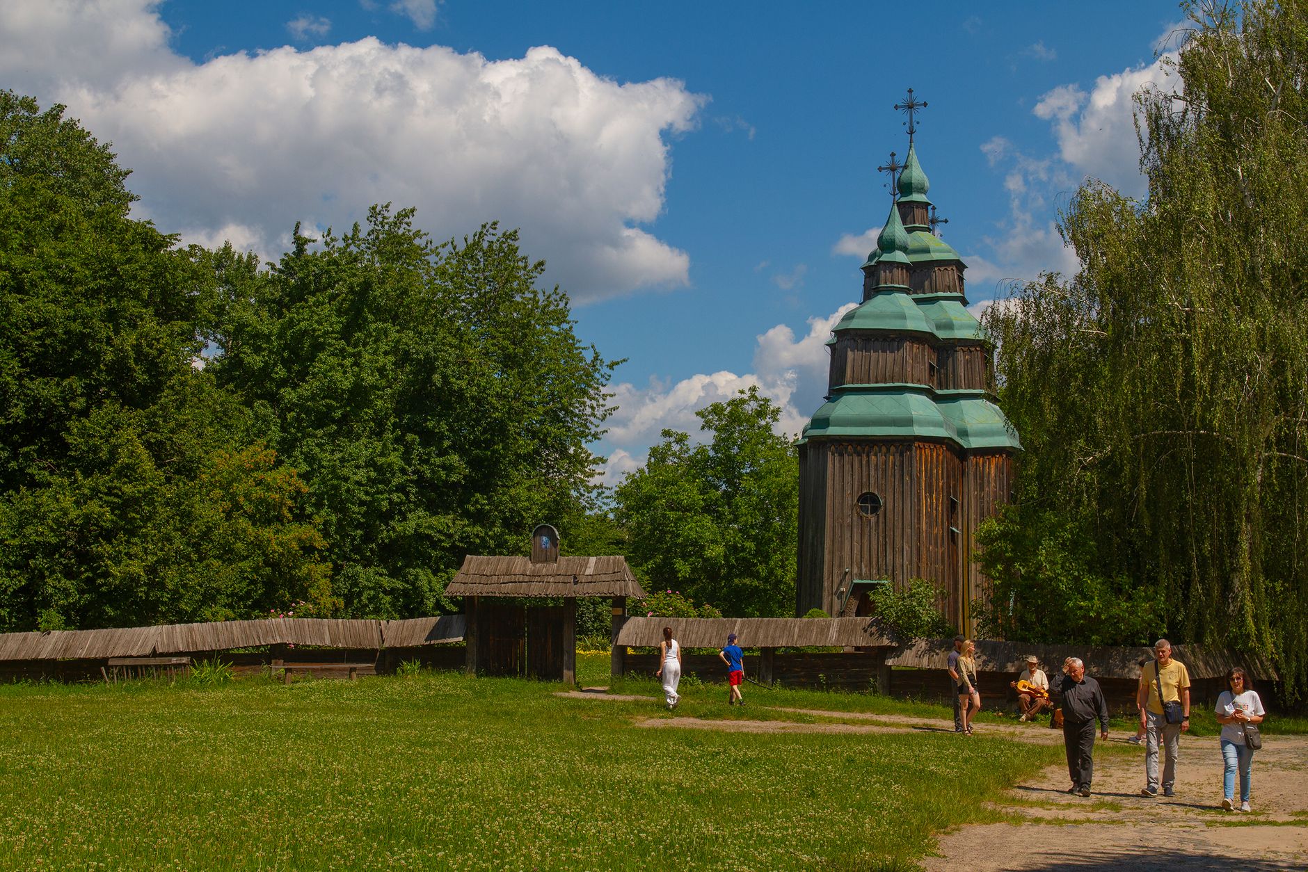 Białowieża Forest
