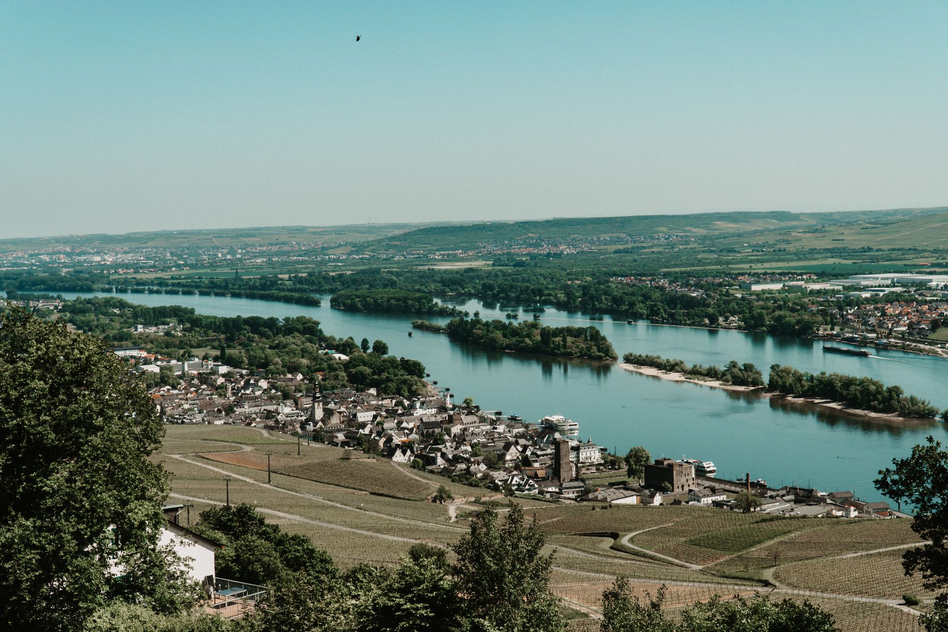 Bingen am Rhein