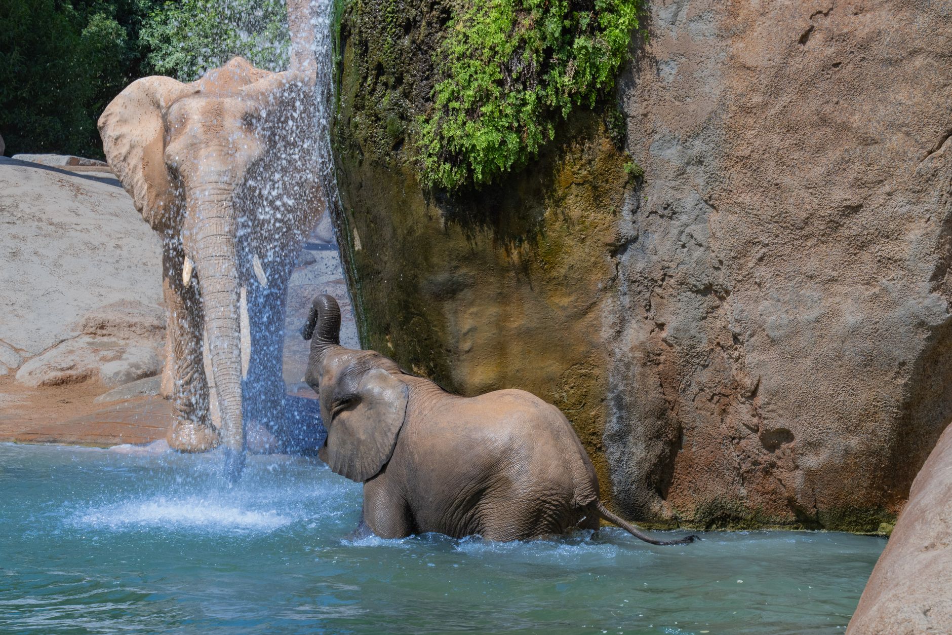 Bioparc Fuengirola