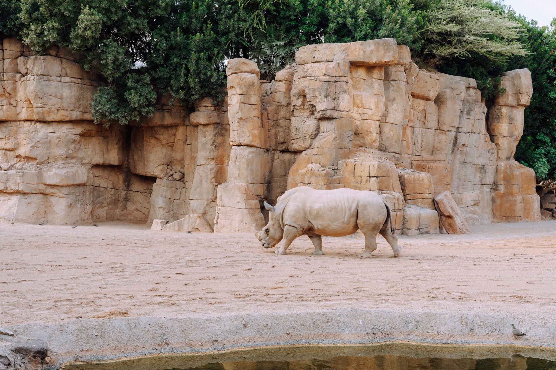Bioparc Fuengirola