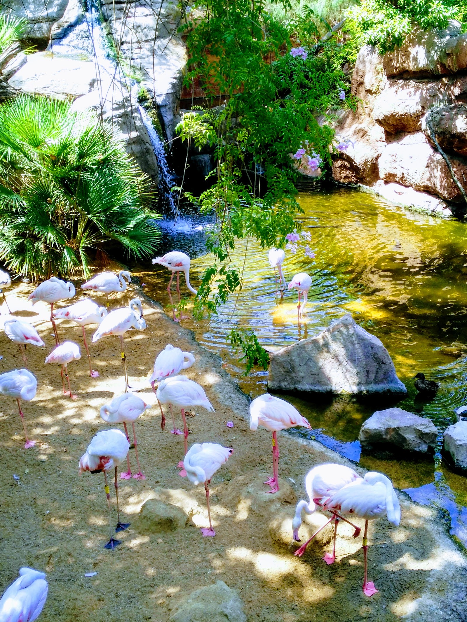 Bioparc Fuengirola