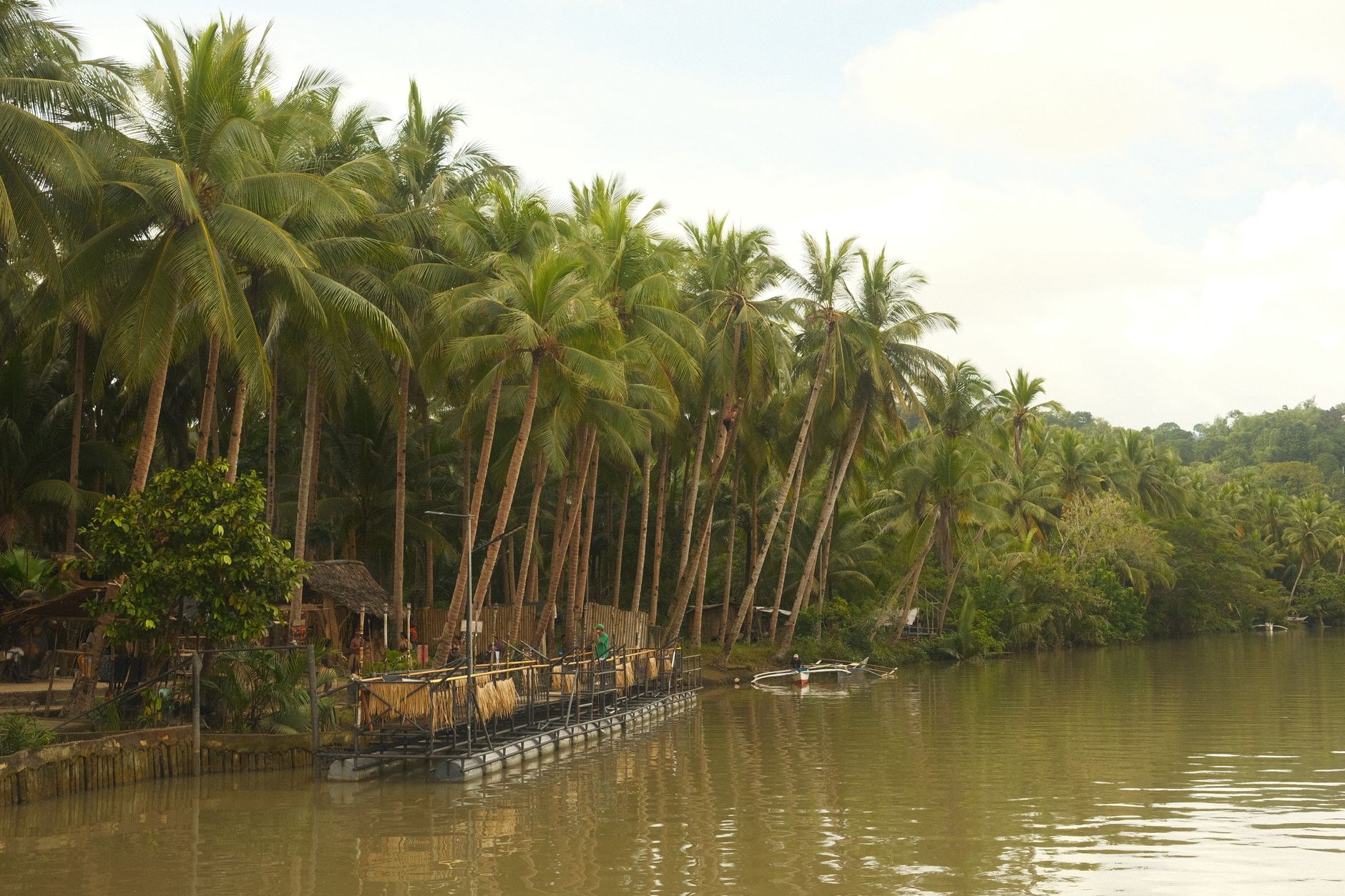 Bohol