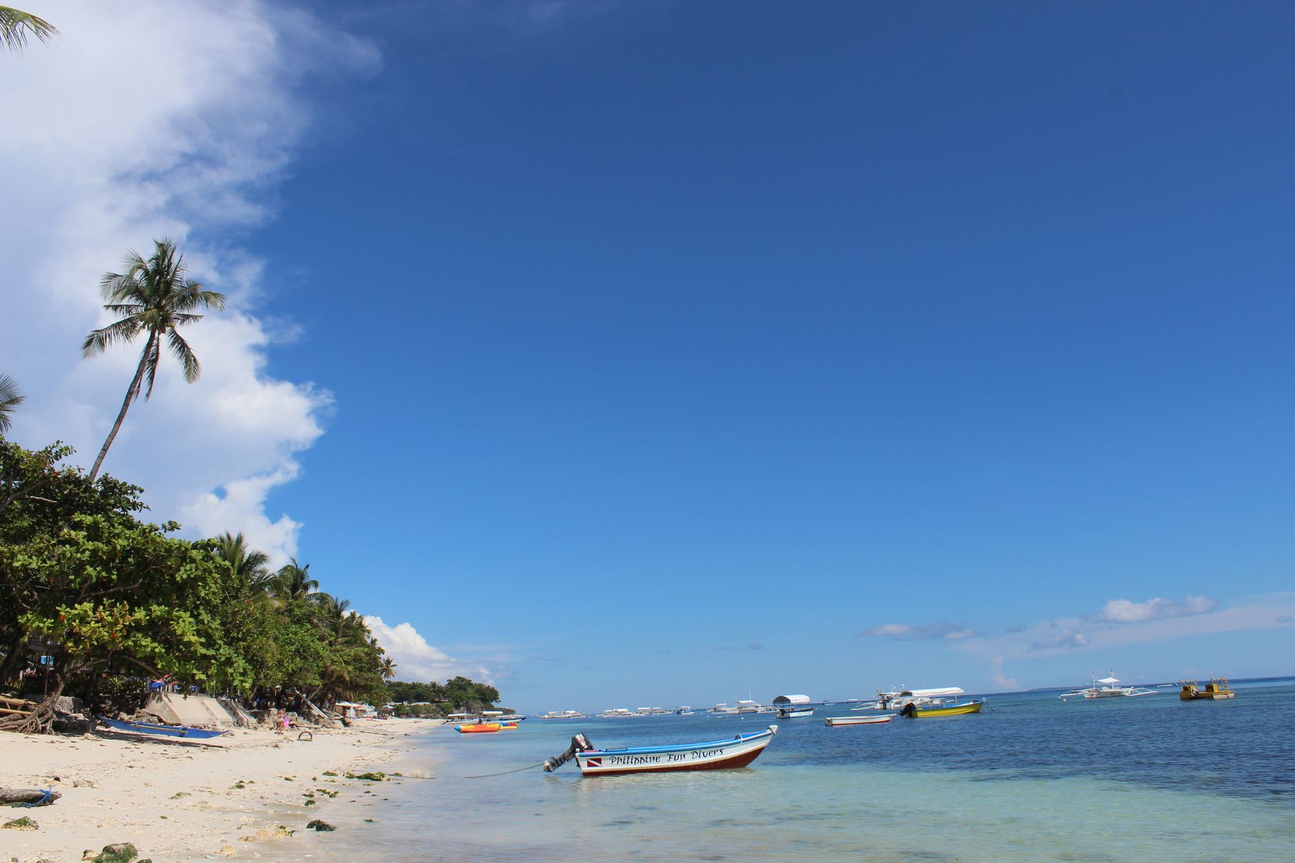 Bohol