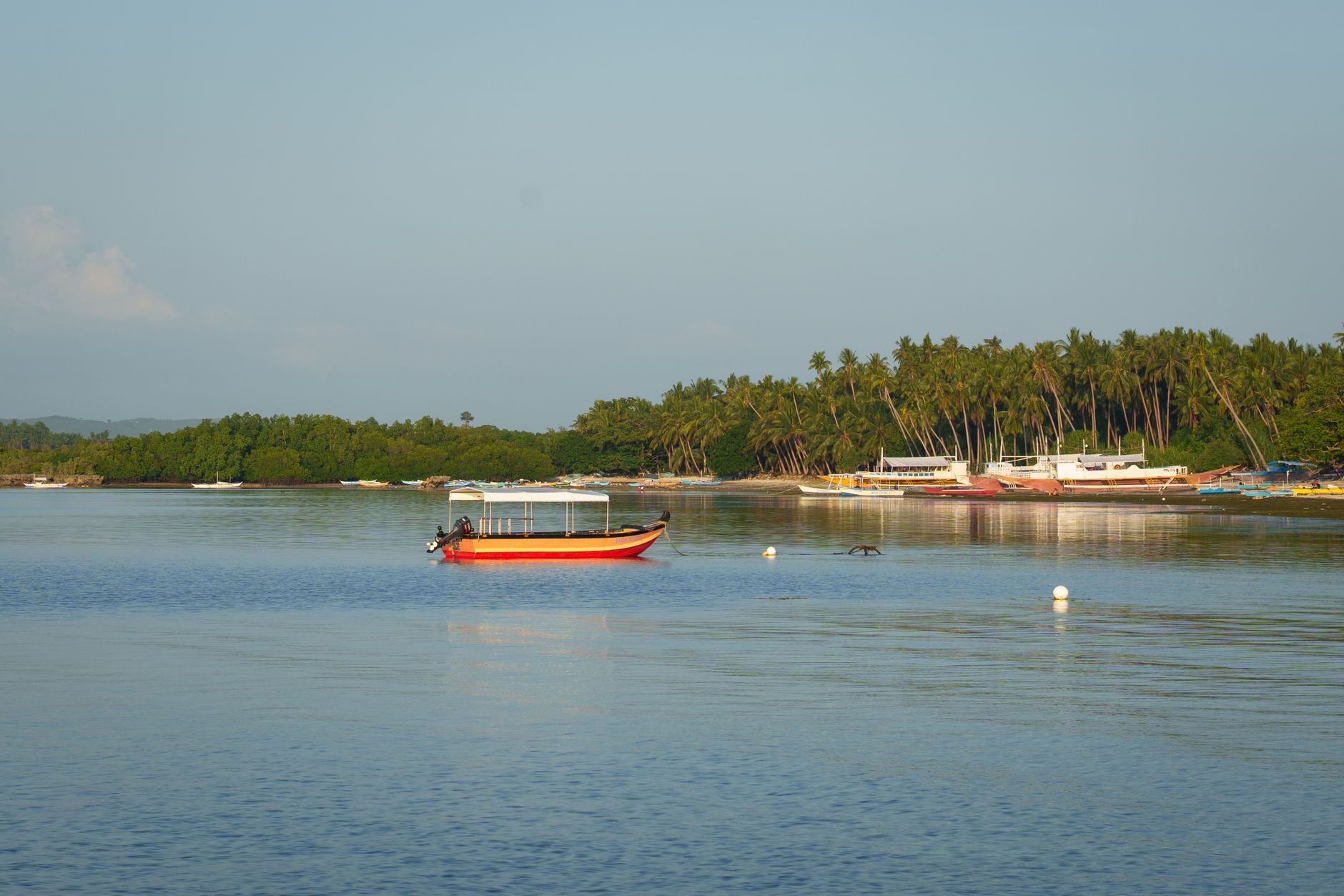 Bohol