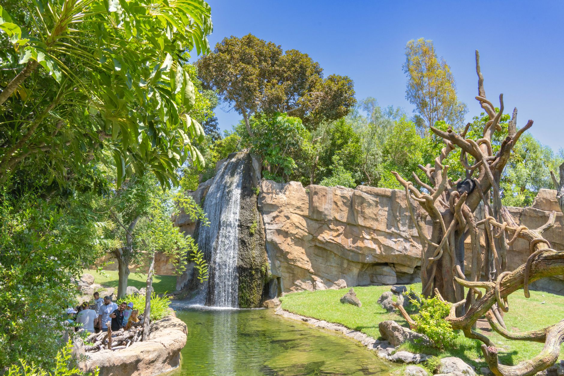 Bologonja Springs