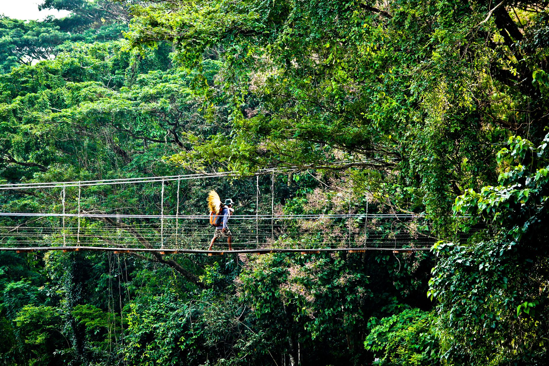 Bosawás Biosphere Reserve