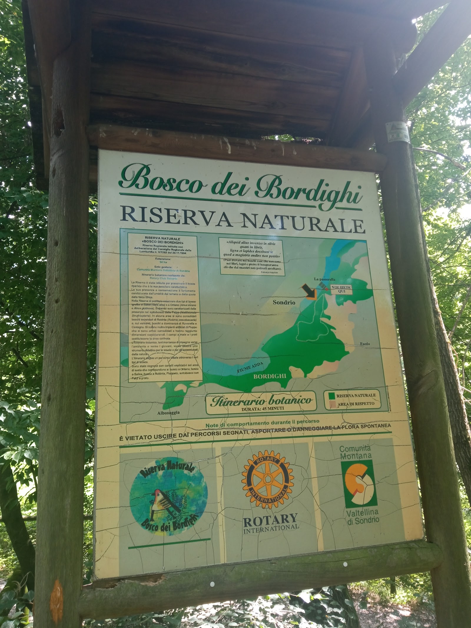Bosco dei Bordighi