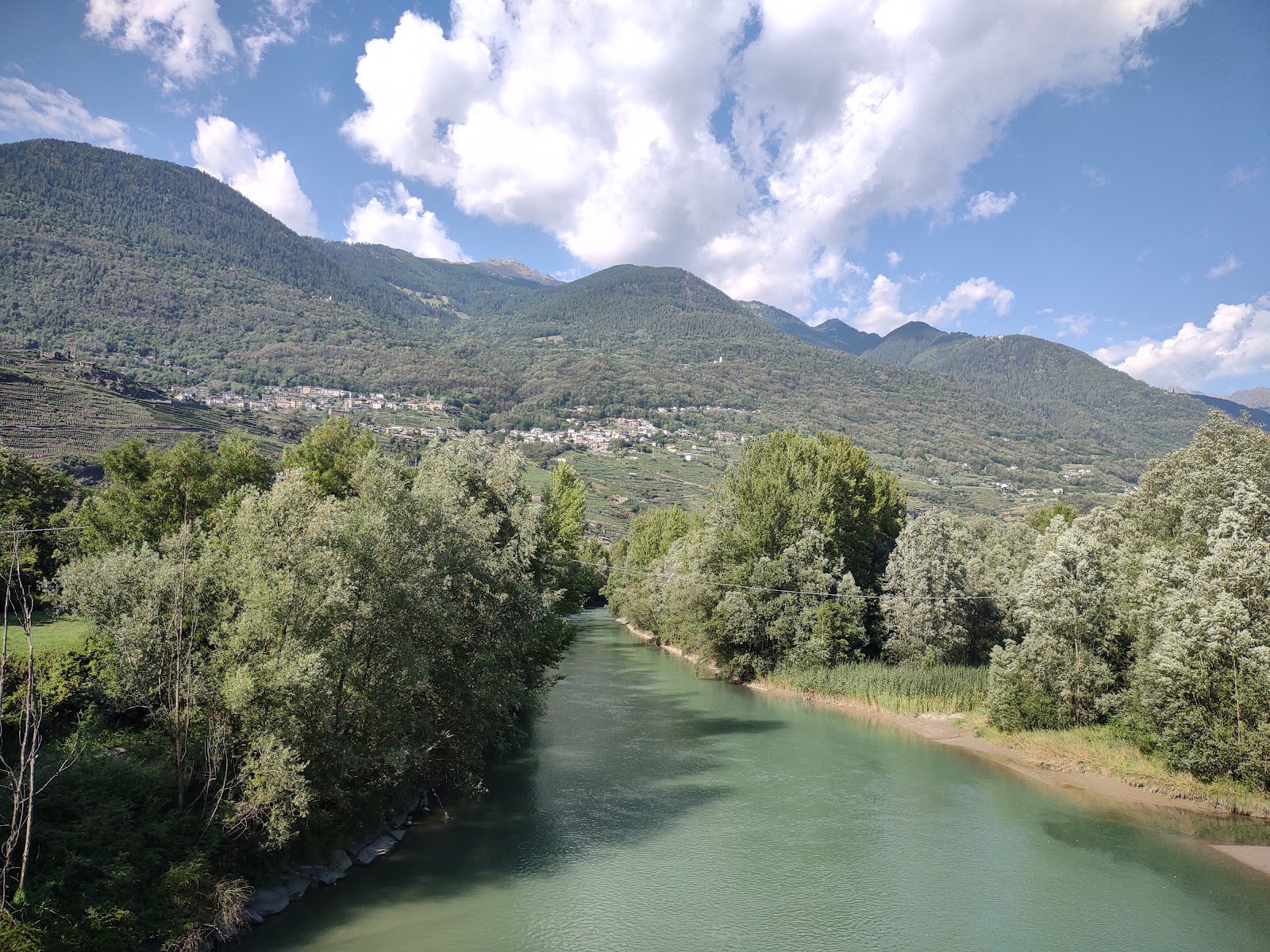 Bosco dei Bordighi