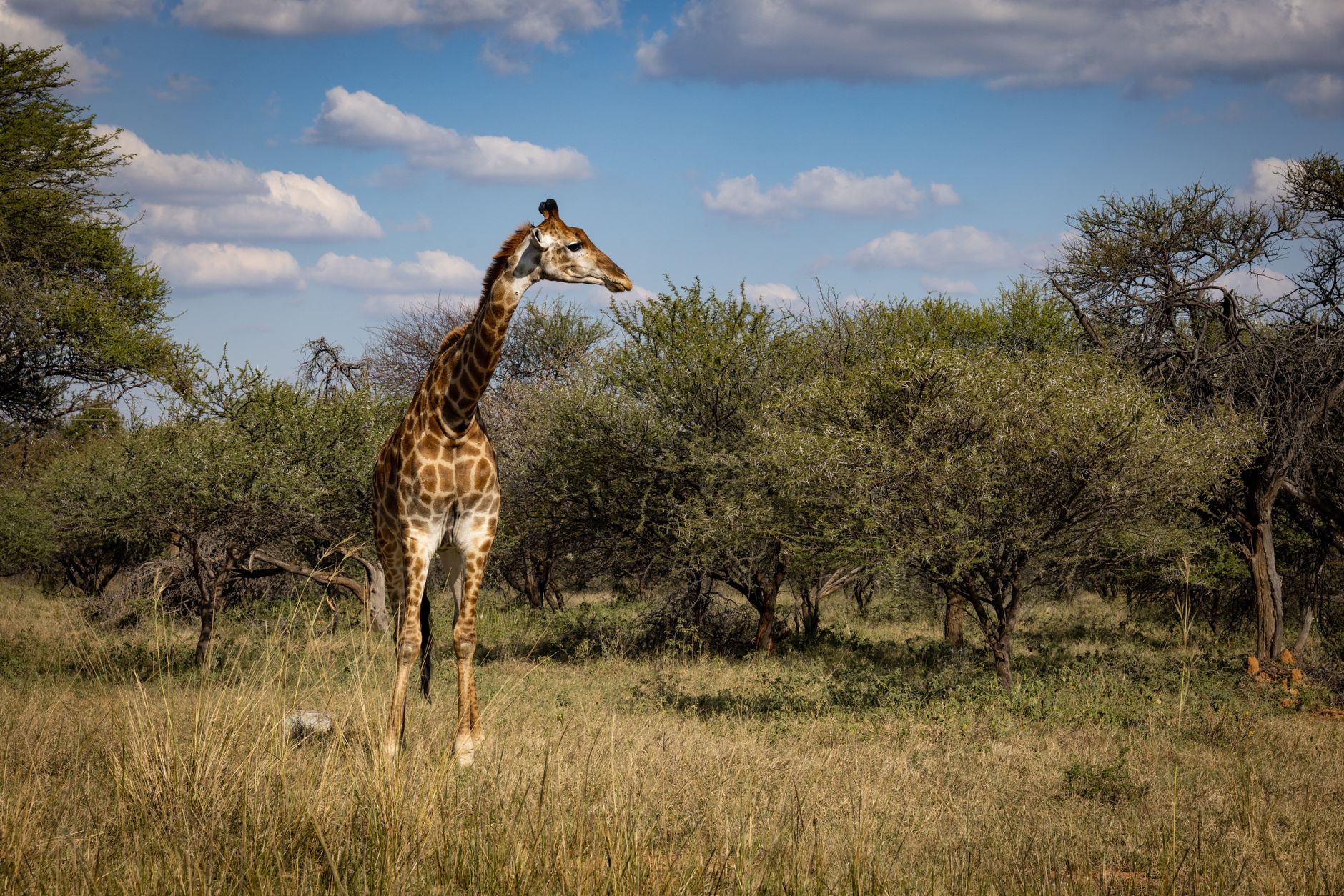Botswana