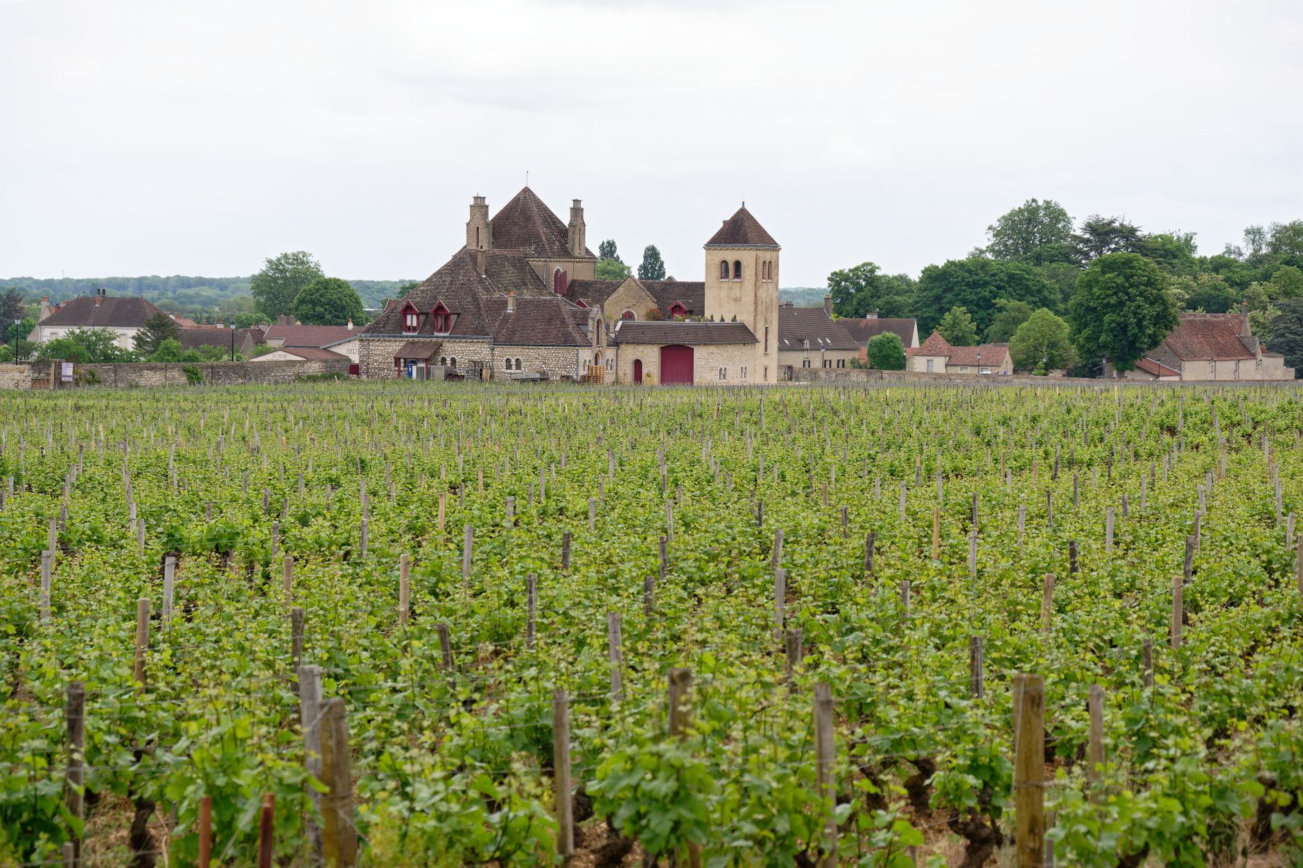 Bourgogne-Franche-Comté (Burgundy)