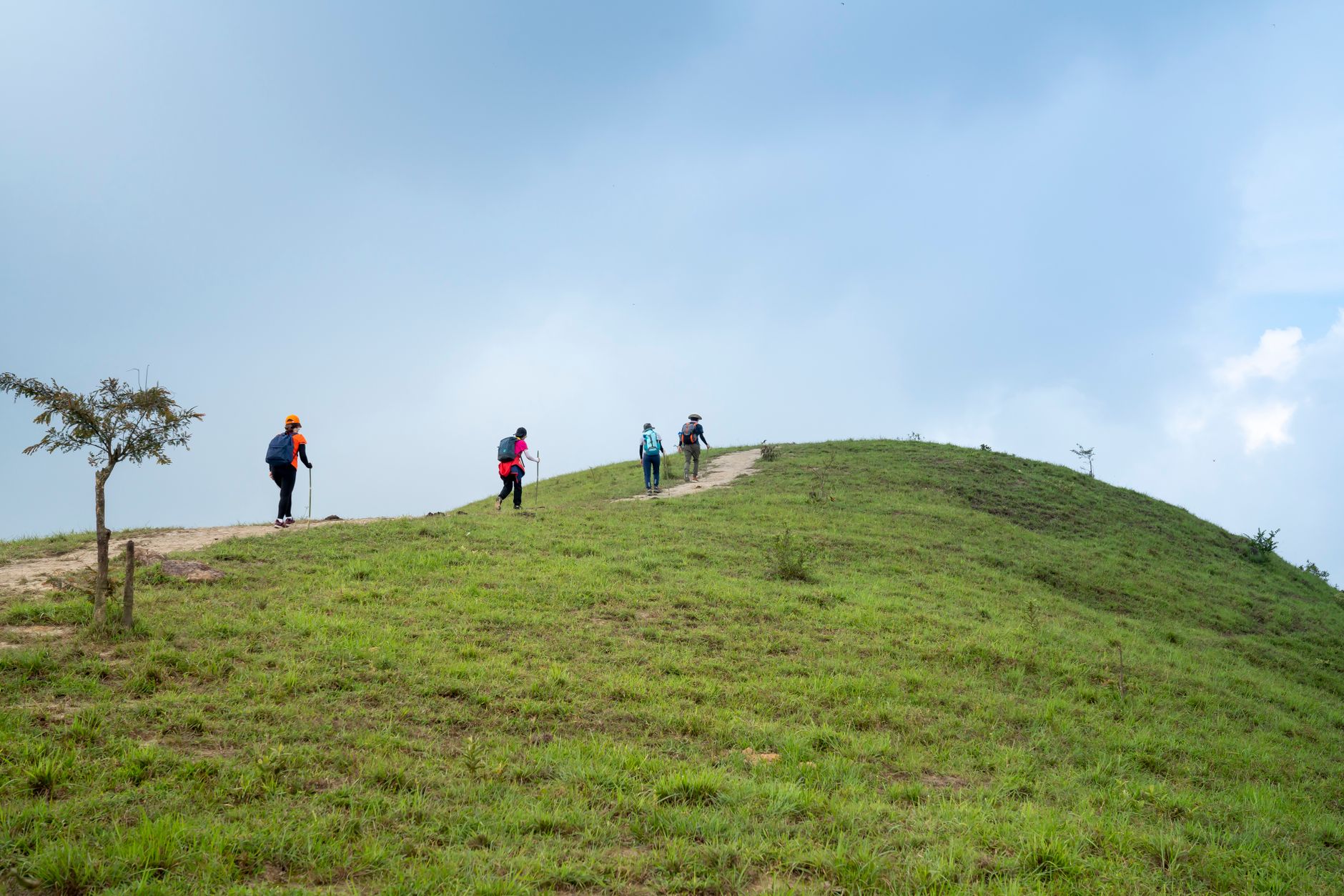 Box Hill