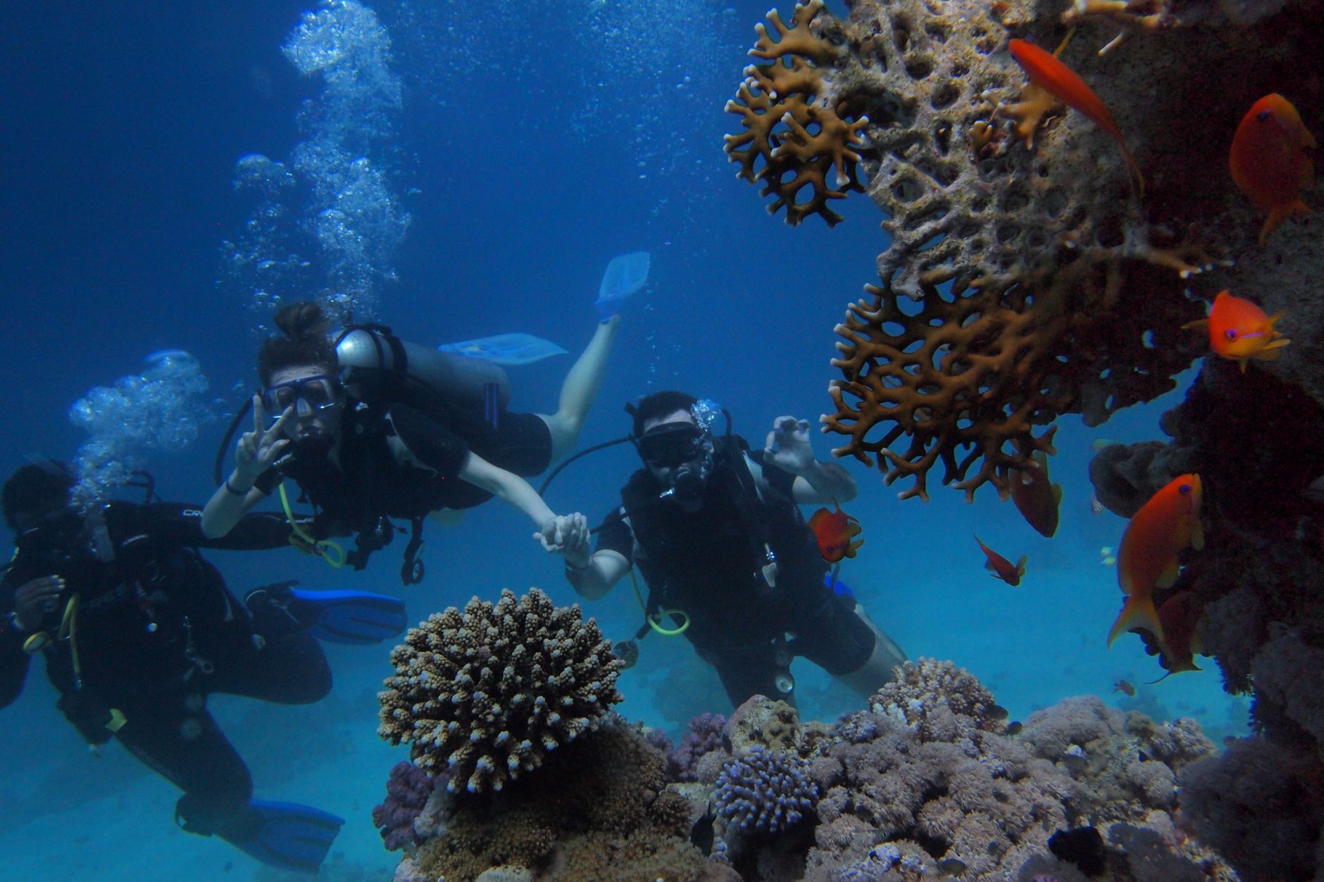 Buccoo Reef