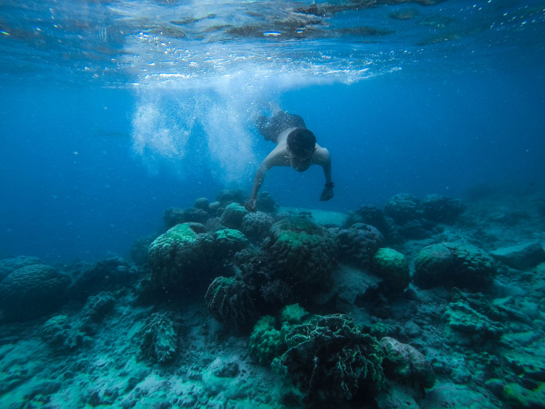 Buccoo Reef