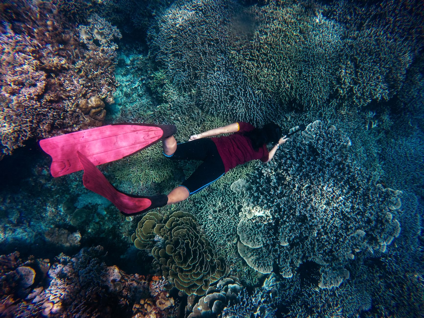 Buccoo Reef