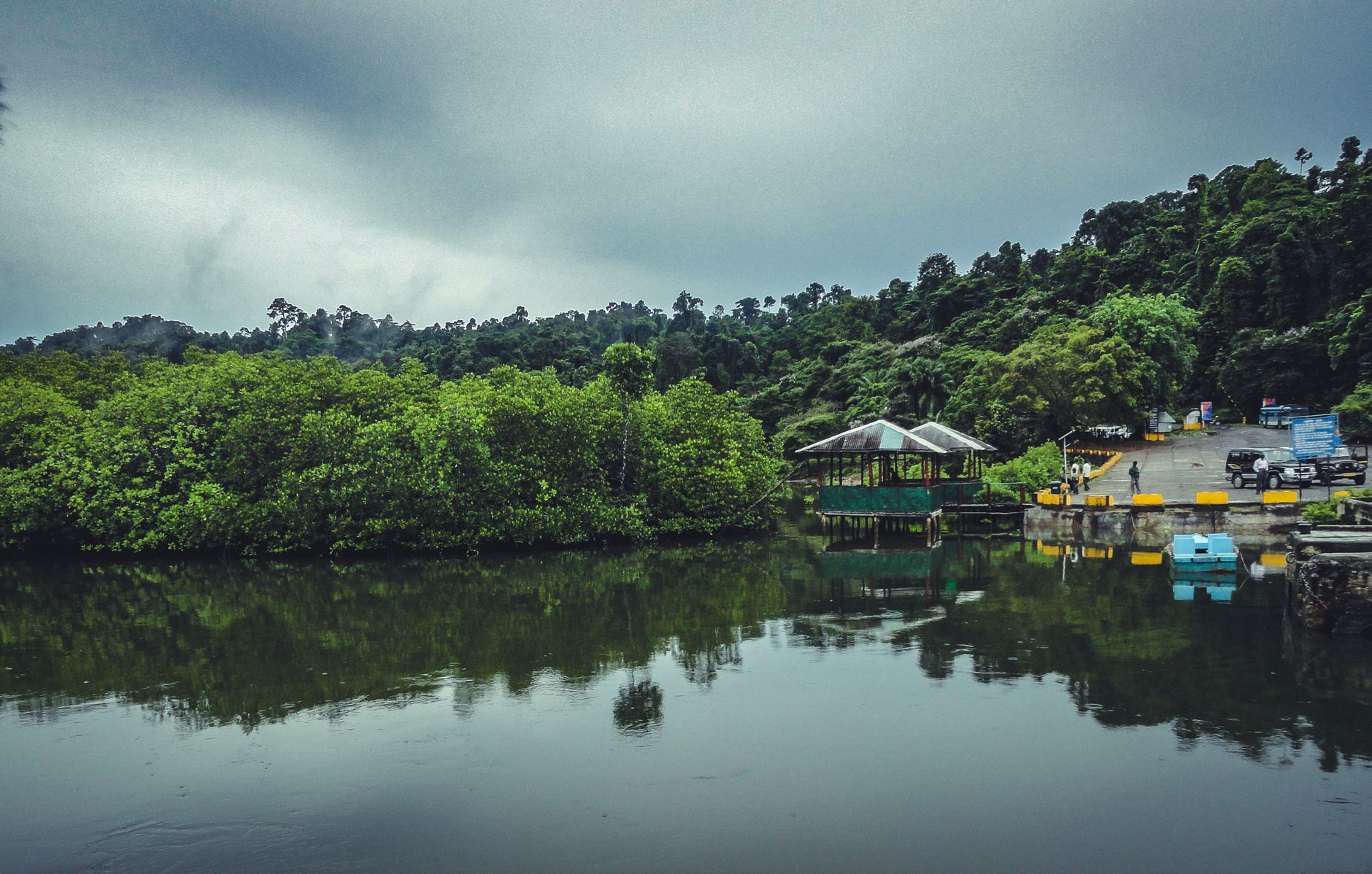 Bukit Timah Nature Reserve