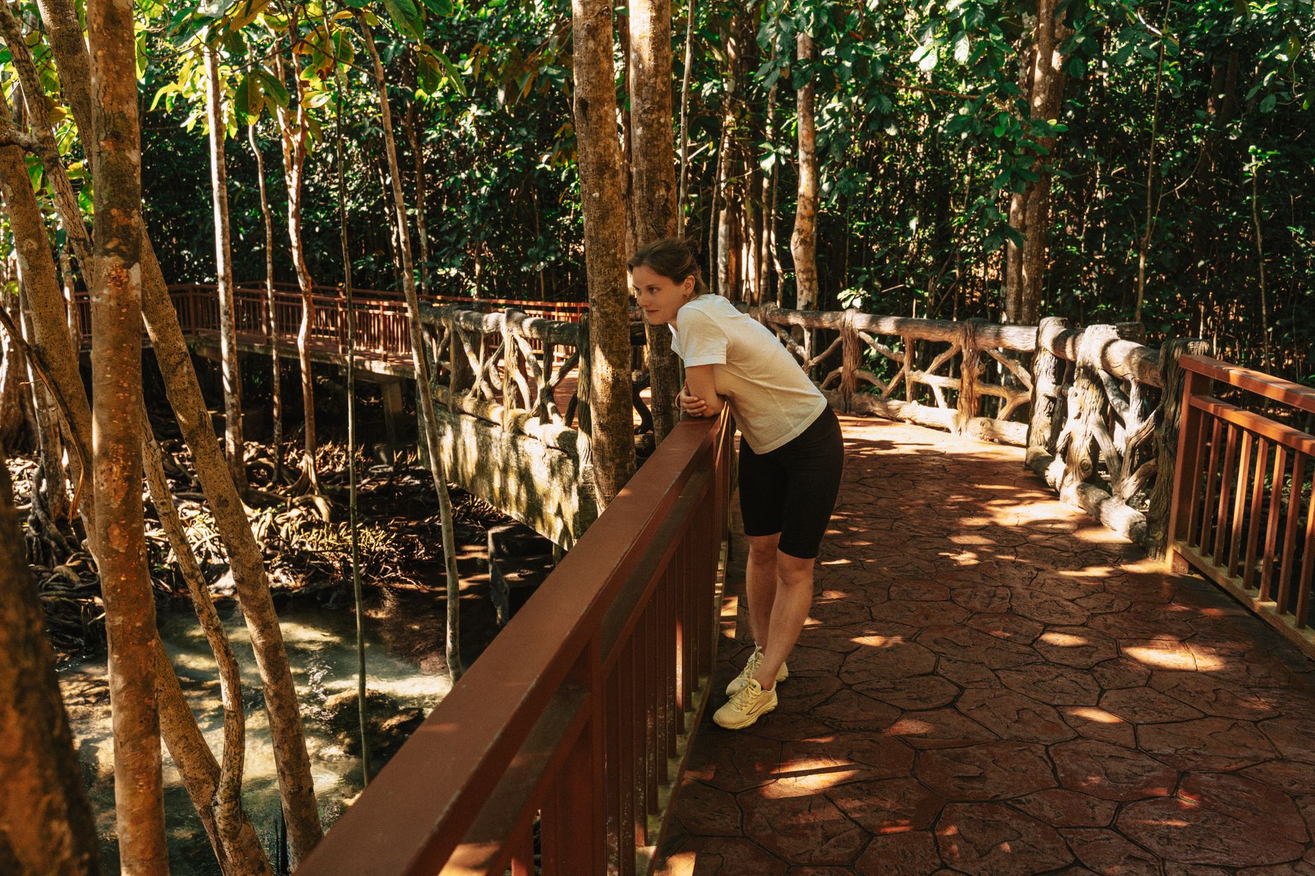 Bukit Timah Nature Reserve