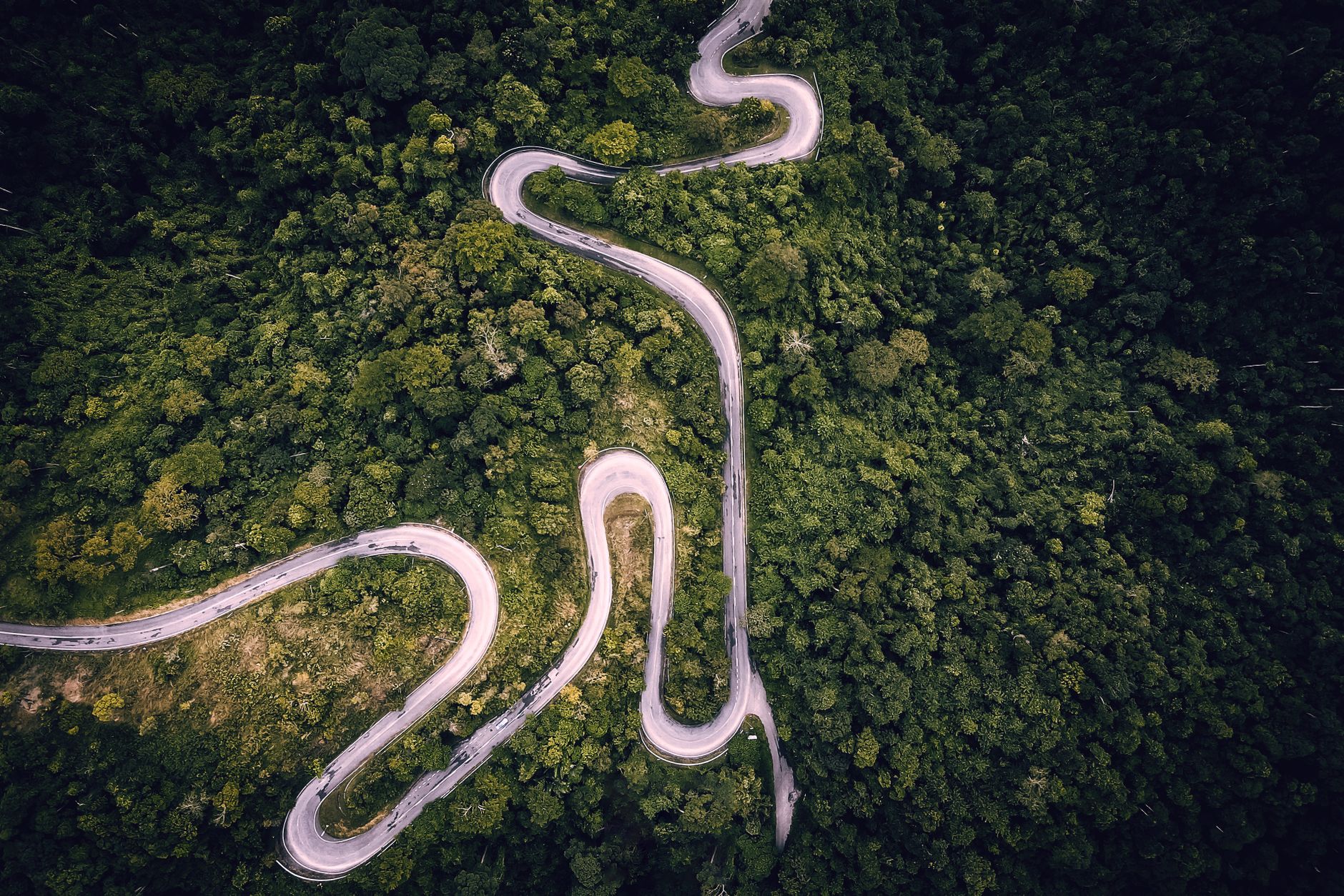 Bukit Timah Nature Reserve
