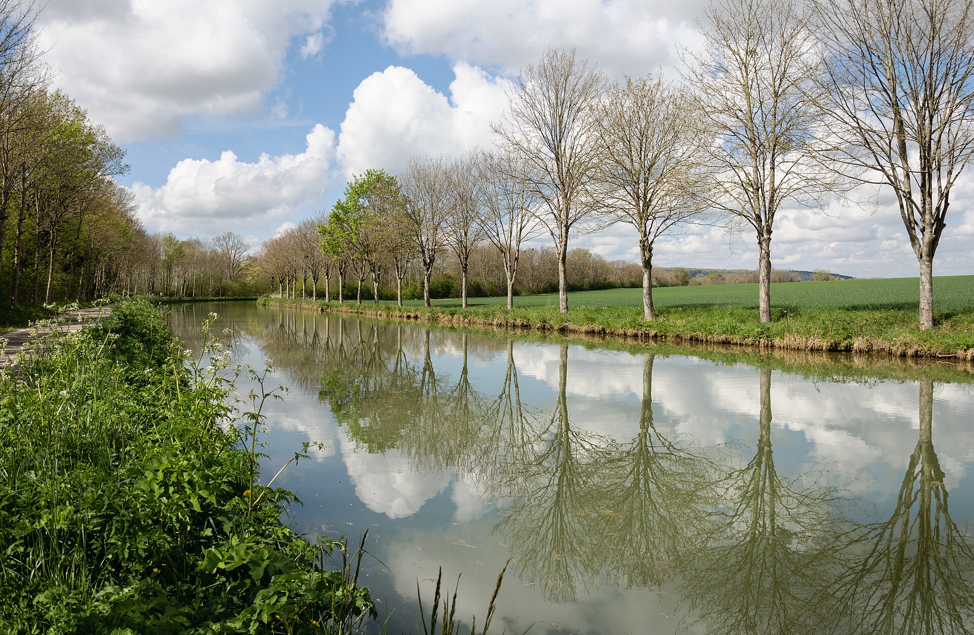 Burgundy (Bourgogne)