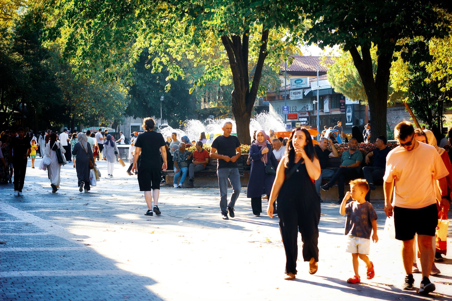 Bursa