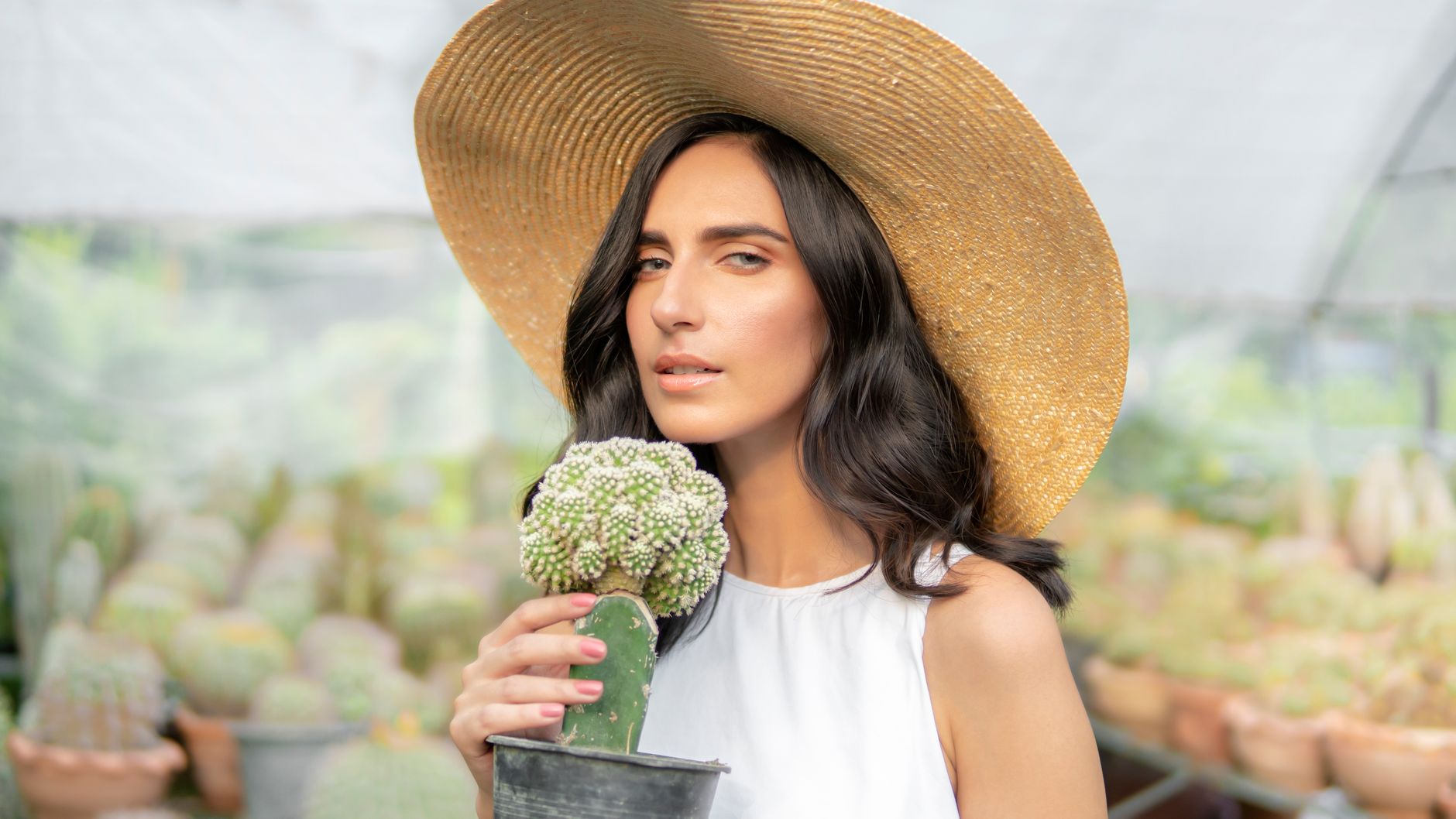Cactus Garden