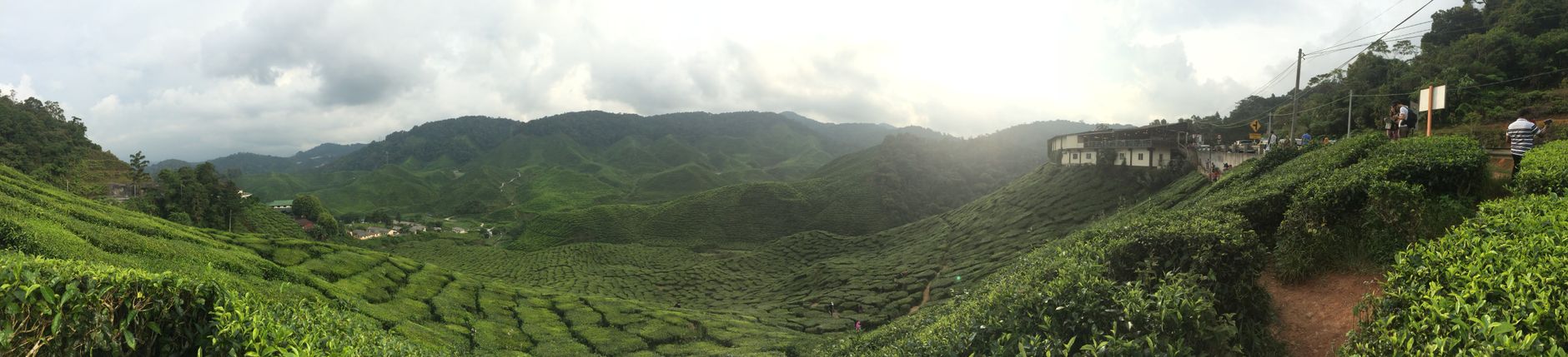 Cameron Highlands